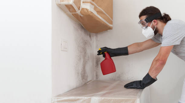 Professional Crawl Space Mold Remediation technician working in Brandamore, PA