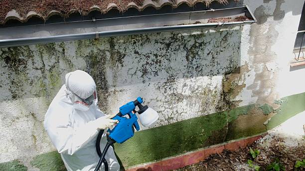 Top rated local Crawl Space Mold Remediation specialists in Brandamore, PA
